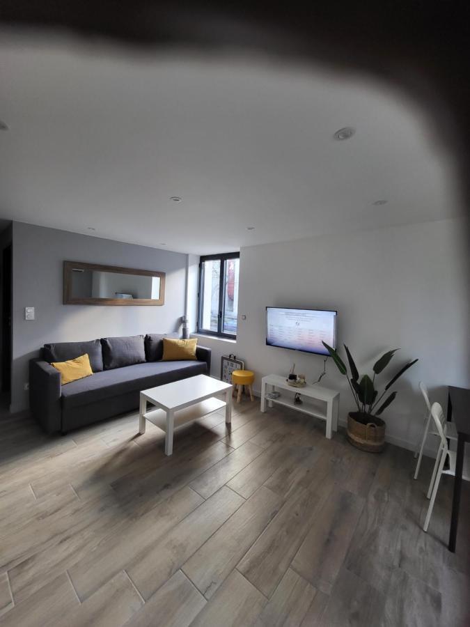 سانت إتيان Appartement Entierement Renove A Neuf 101 المظهر الخارجي الصورة